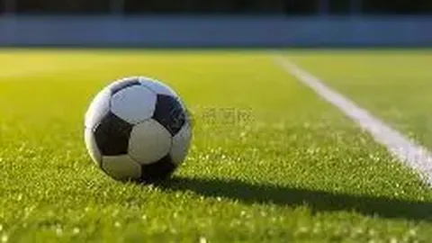 PA真人 产品 105033 43i