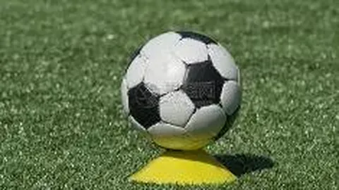 PA真人 产品 105019 bjm